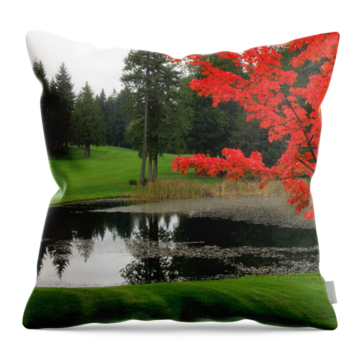 Nature Throw Pillow featuring the glass art Autumn Golf Course by Tatyana Searcy