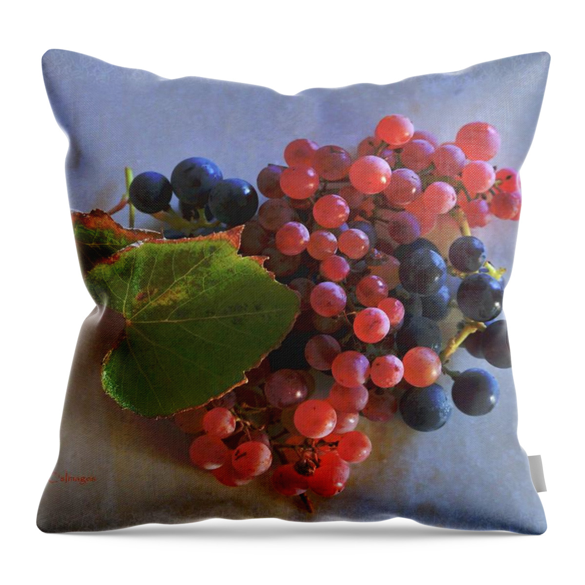 Grapes Throw Pillow featuring the digital art Autumn Harvest Grapes by Kae Cheatham