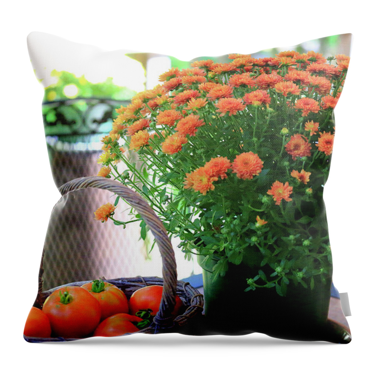 Autumn Harvest Throw Pillow featuring the photograph Autumn Harvest by PJQandFriends Photography