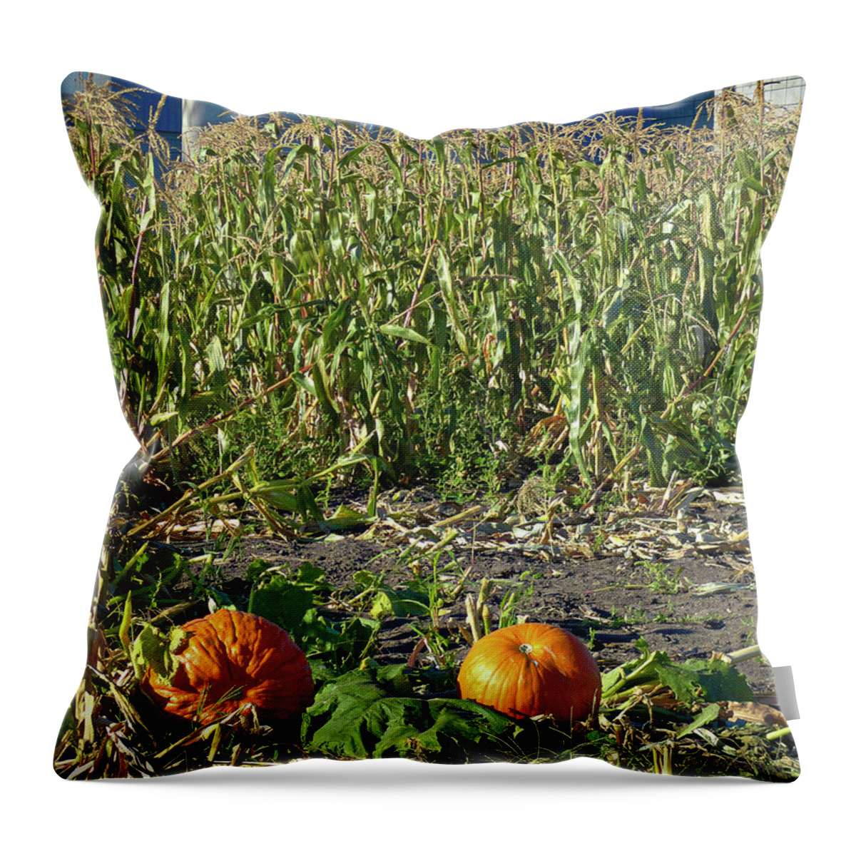 Autumn Throw Pillow featuring the photograph Autumn Harvest by Robert Meyers-Lussier