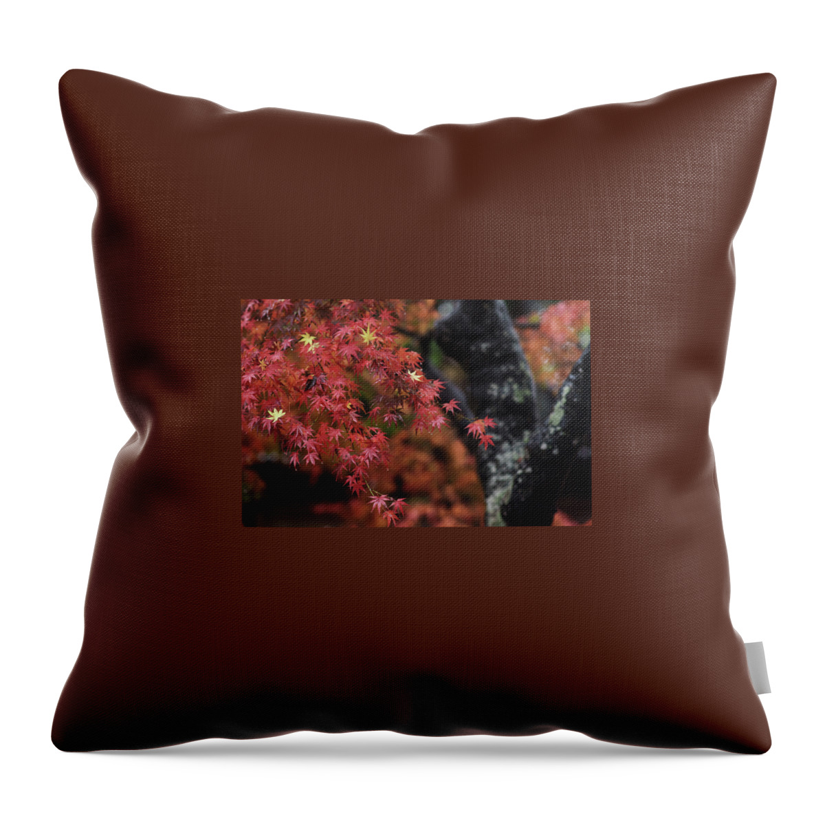 Autumn Throw Pillow featuring the photograph Autumn by Hiro N