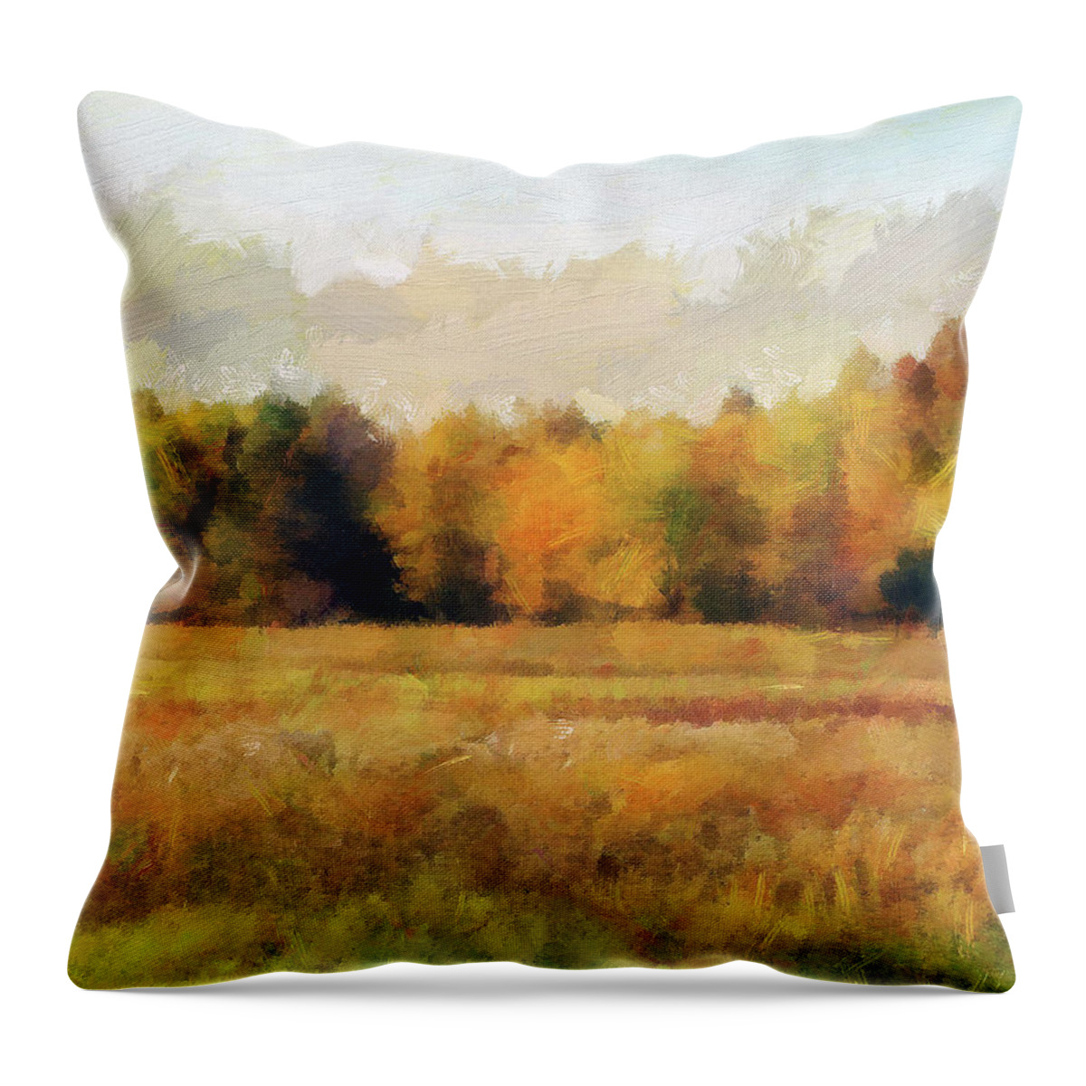 Cedric Hampton Throw Pillow featuring the photograph Autumn Impression 2 by Cedric Hampton