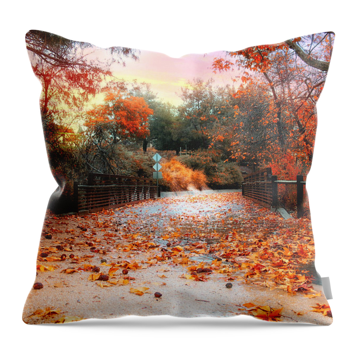 Fall Throw Pillow featuring the photograph Autumn in Discovery Lake by Alison Frank