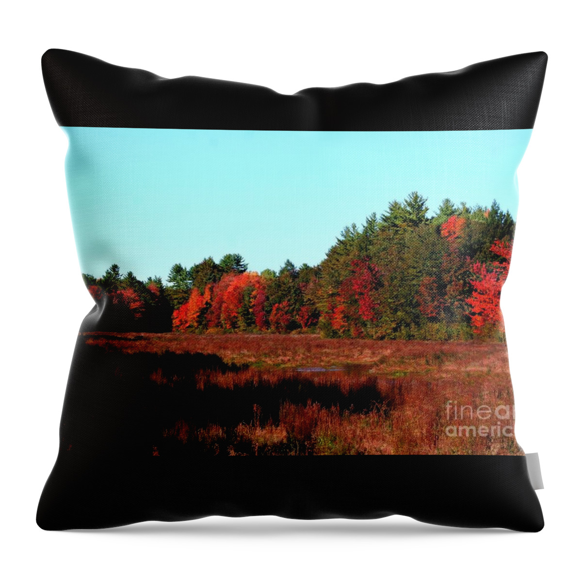 Autumn Throw Pillow featuring the photograph Autumn In Fremont NH by Barbara S Nickerson