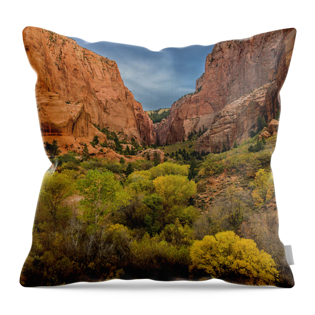 Kolob Canyons Throw Pillow featuring the photograph Autumn in Kolob Canyons by Donald Pash