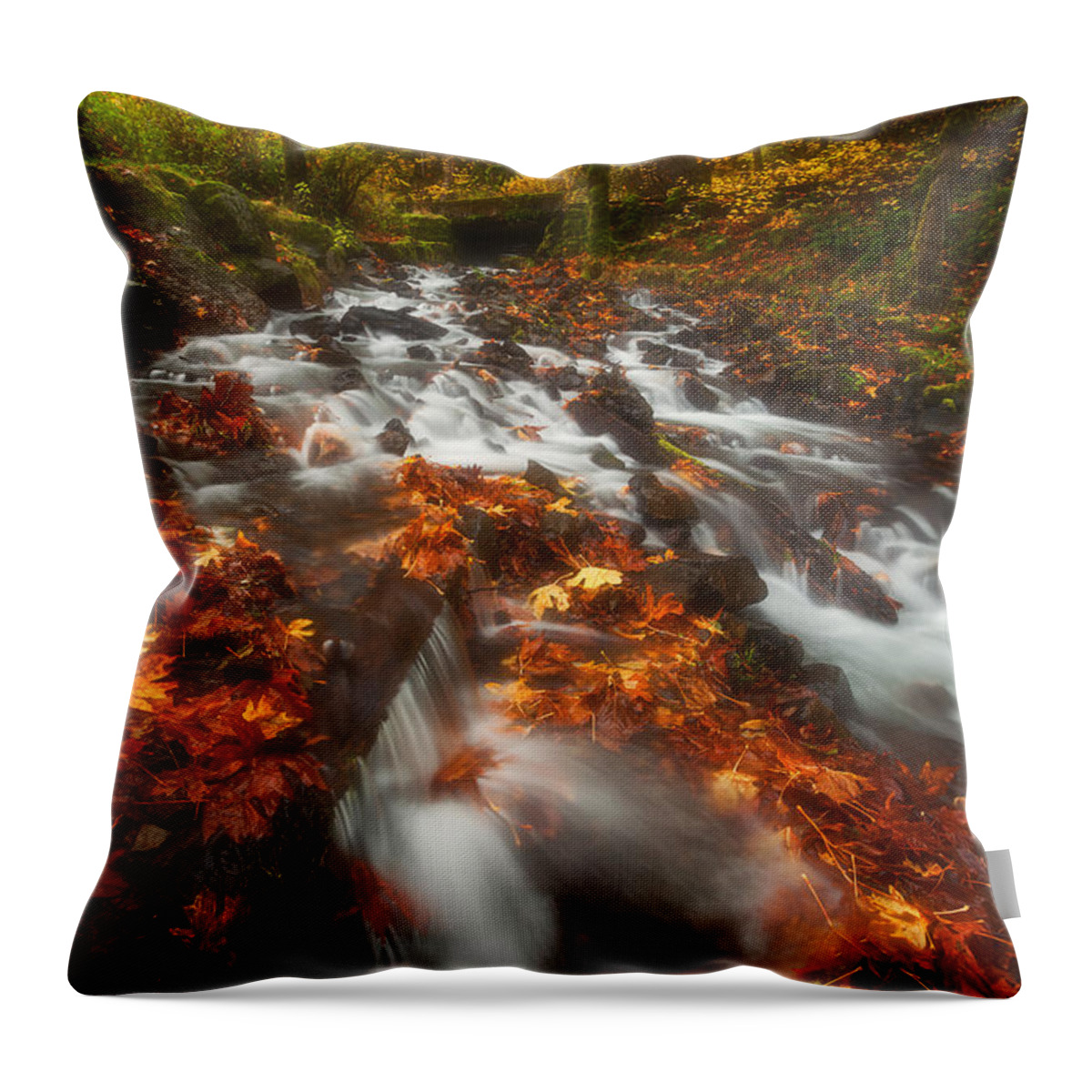 Fall Throw Pillow featuring the photograph Autumn in the Gorge by Darren White