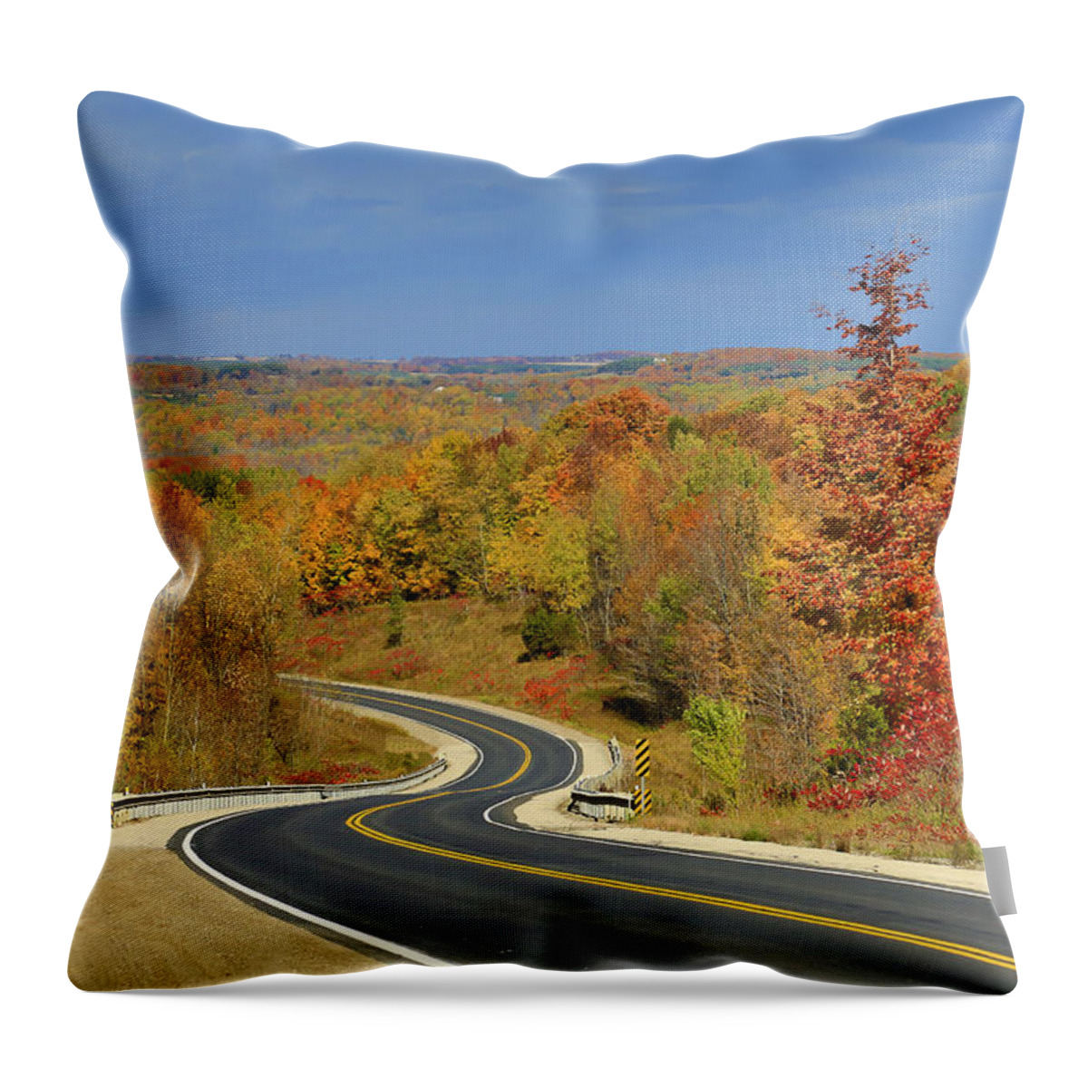  Mono Throw Pillow featuring the photograph Autumn in the Hockley Valley by Gary Hall