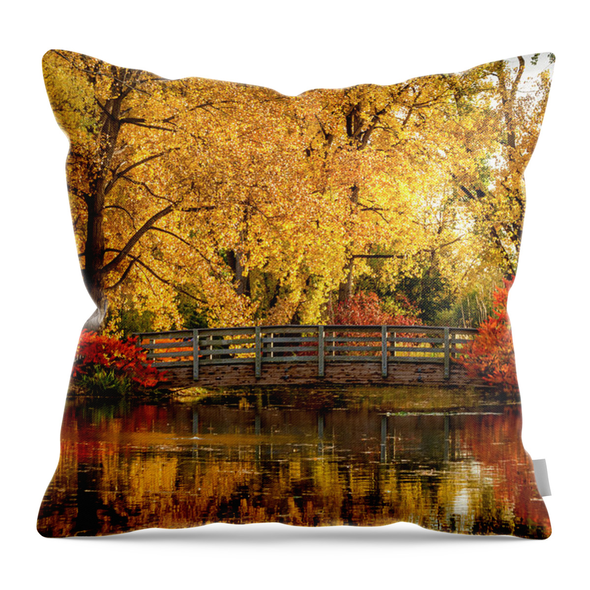 Hudson Gardens Throw Pillow featuring the photograph Autumn in the Park by Teri Virbickis