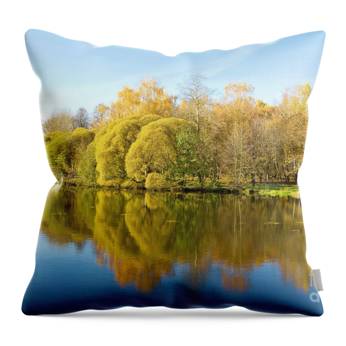 Autumn Throw Pillow featuring the photograph Autumn lake by Irina Afonskaya