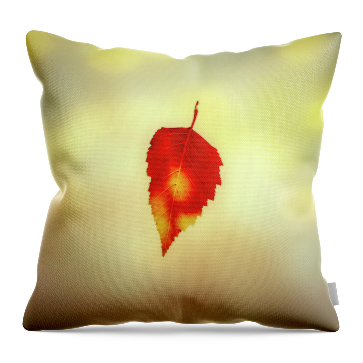Leaves Throw Pillow featuring the photograph Autumn Leaf by Bob Orsillo