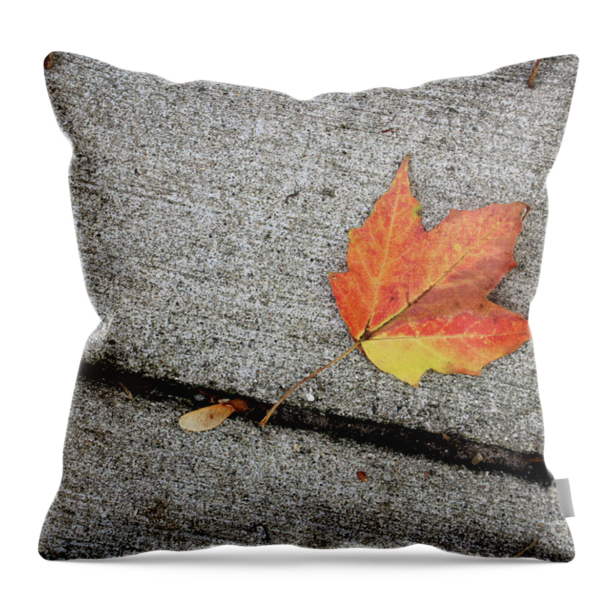 Autumn Throw Pillow featuring the photograph Autumn Leaf by Laura Kinker