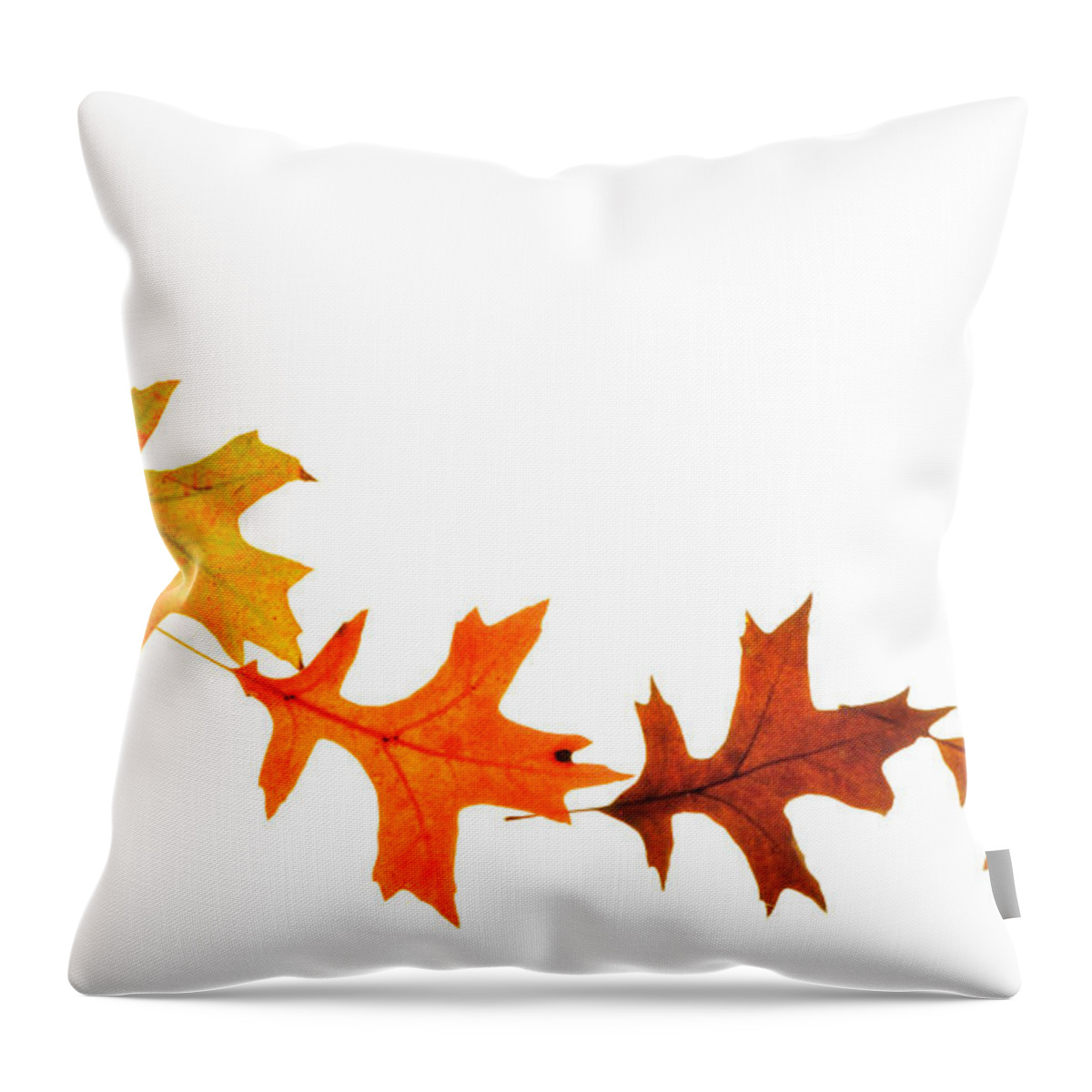 Leaves Throw Pillow featuring the photograph Autumn Leaves 1 by Mark Fuller