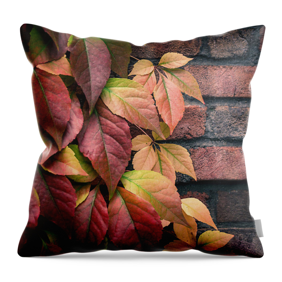 Autumn Throw Pillow featuring the photograph Autumn Leaves Against Brick Wall by Julie Palencia