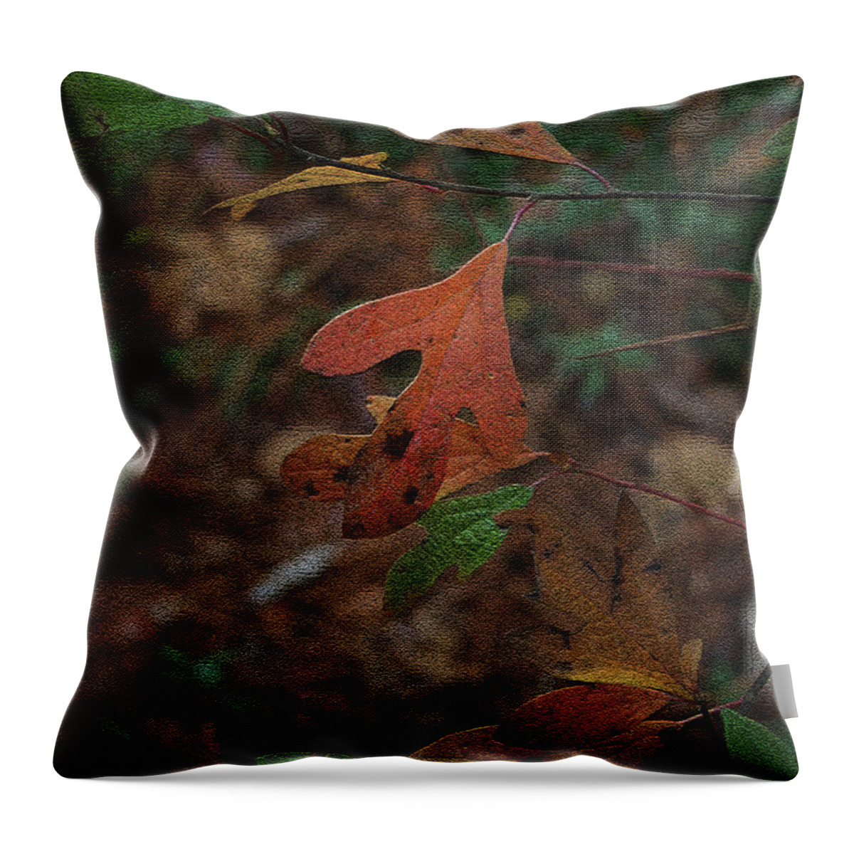 Autumn Throw Pillow featuring the photograph Autumn Leaves by Cathy Harper