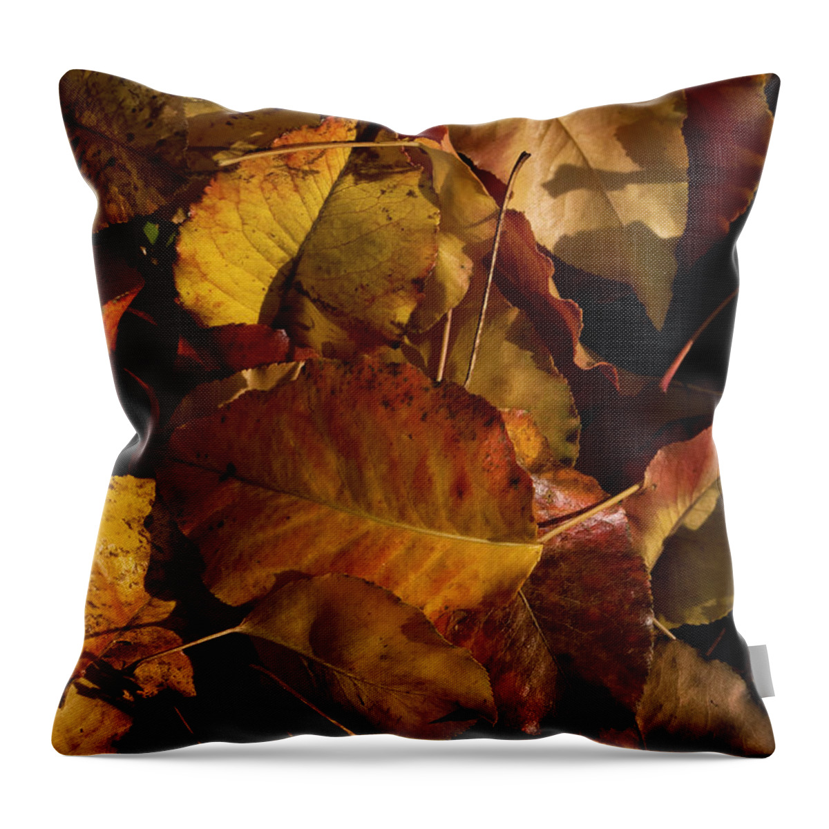 Leaves Throw Pillow featuring the photograph Autumn Leaves by Cheryl Day