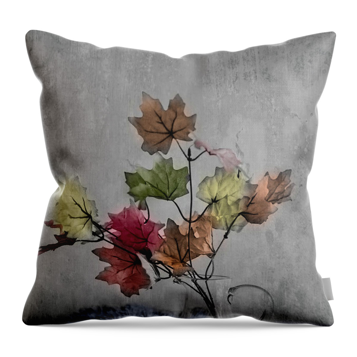 Colors Throw Pillow featuring the photograph Autumn Leaves by Elvira Pinkhas