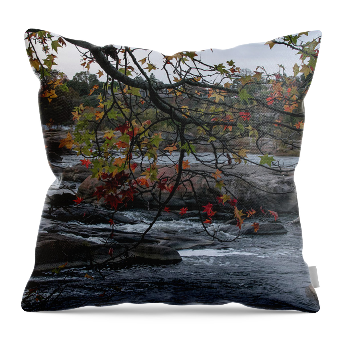 Fall Throw Pillow featuring the photograph Autumn leaves frame the James River by Liz Albro