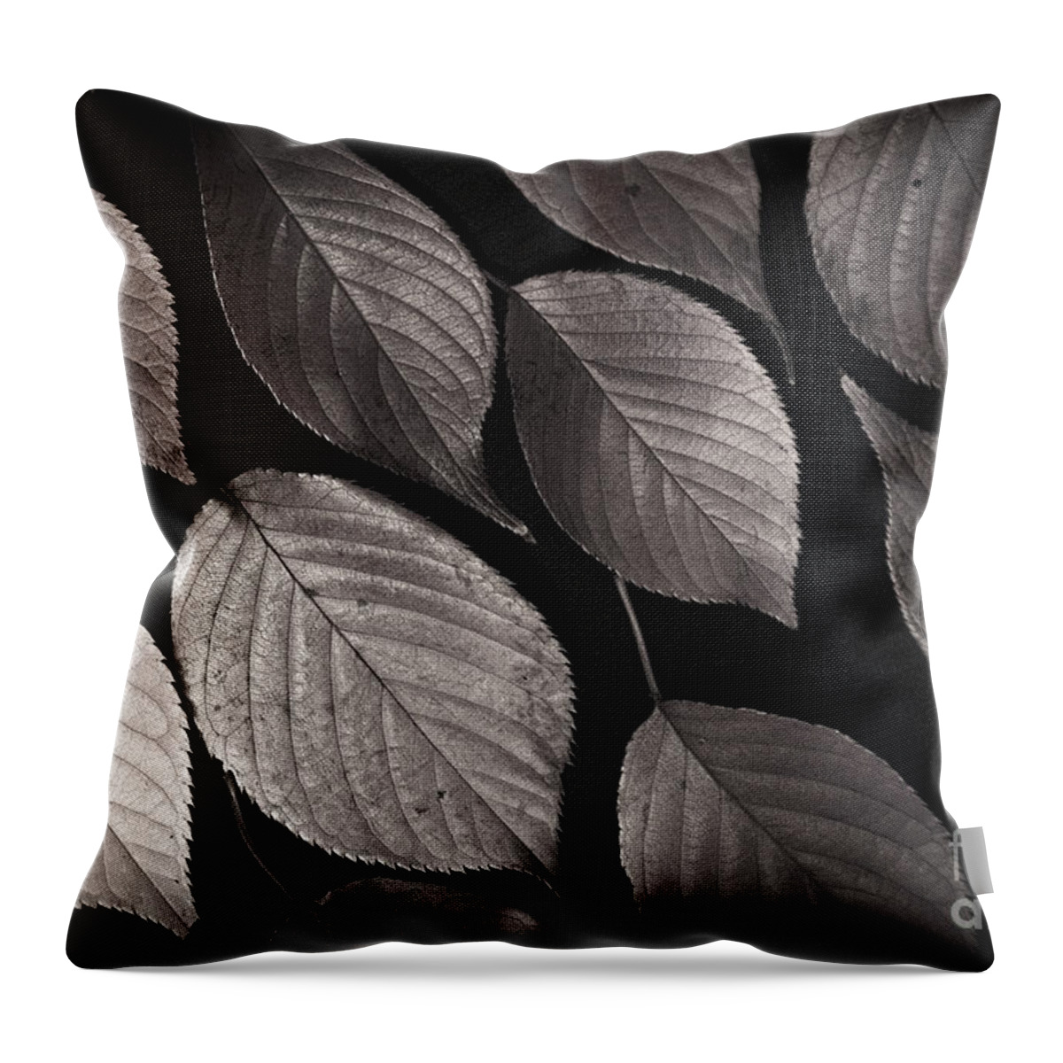 Leaves Throw Pillow featuring the photograph Autumn Leaves by Eena Bo