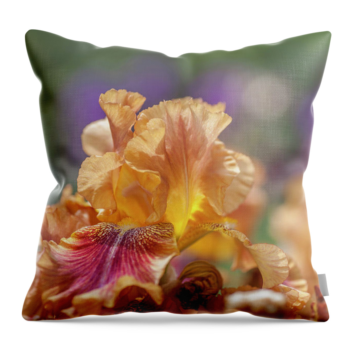 Jenny Rainbow Fine Art Photography Throw Pillow featuring the photograph Autumn Leaves Iris Flower. The Beauty of Irises by Jenny Rainbow