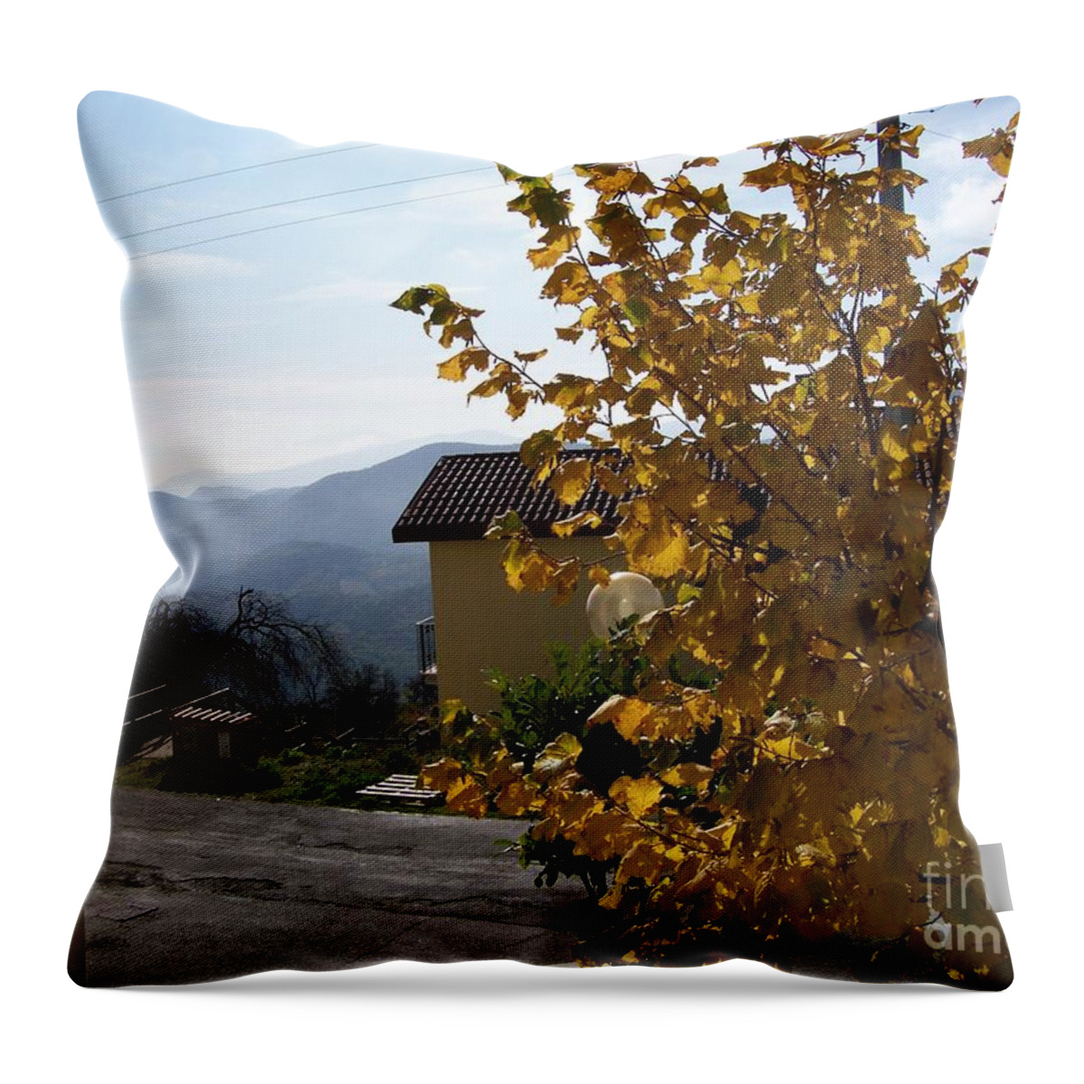 Autumn Throw Pillow featuring the photograph Autumn Leaves by Judy Kirouac