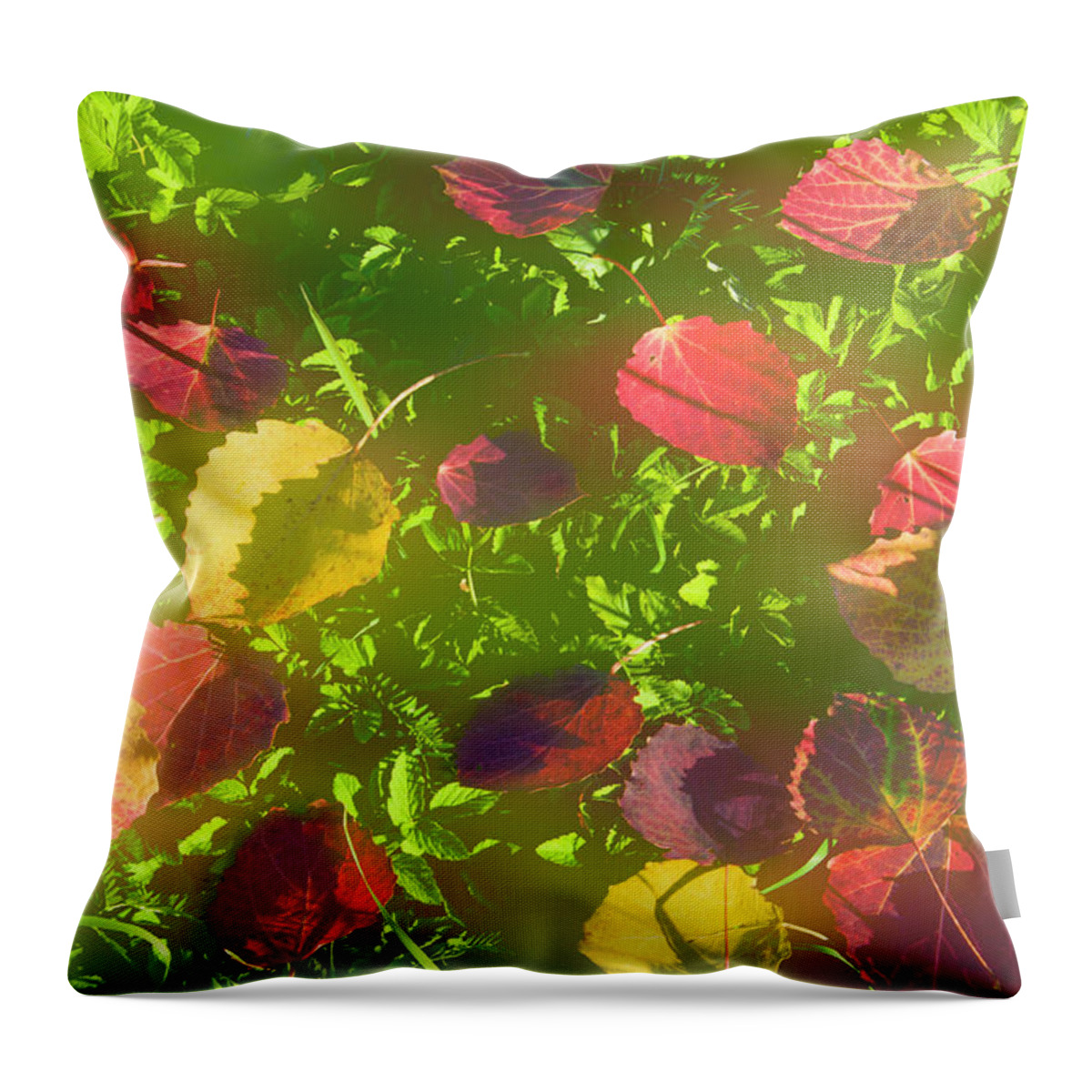 Leaves Throw Pillow featuring the photograph Autumn leaves by Larisa Fedotova
