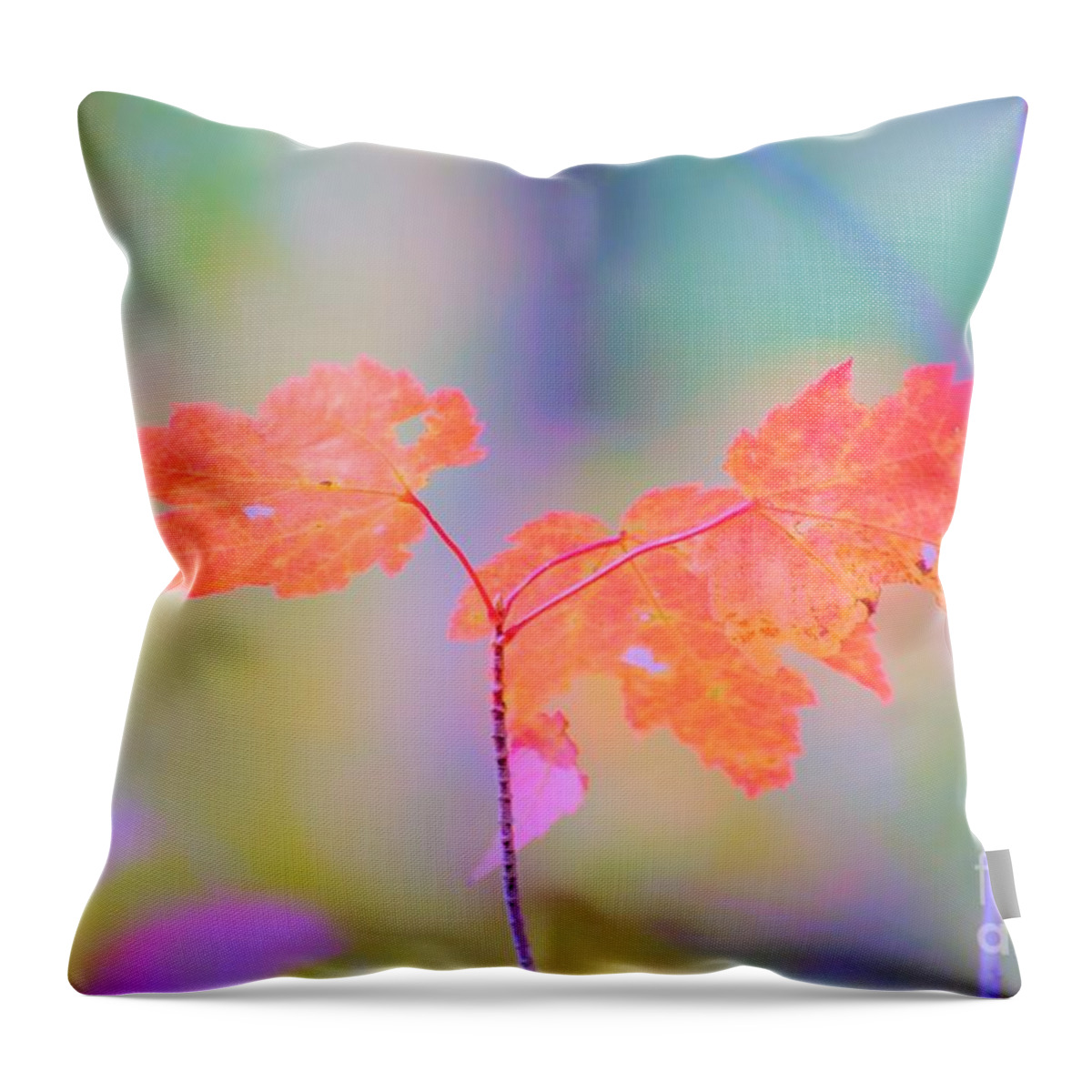 Autumn Throw Pillow featuring the photograph Autumn Leaves by Merle Grenz