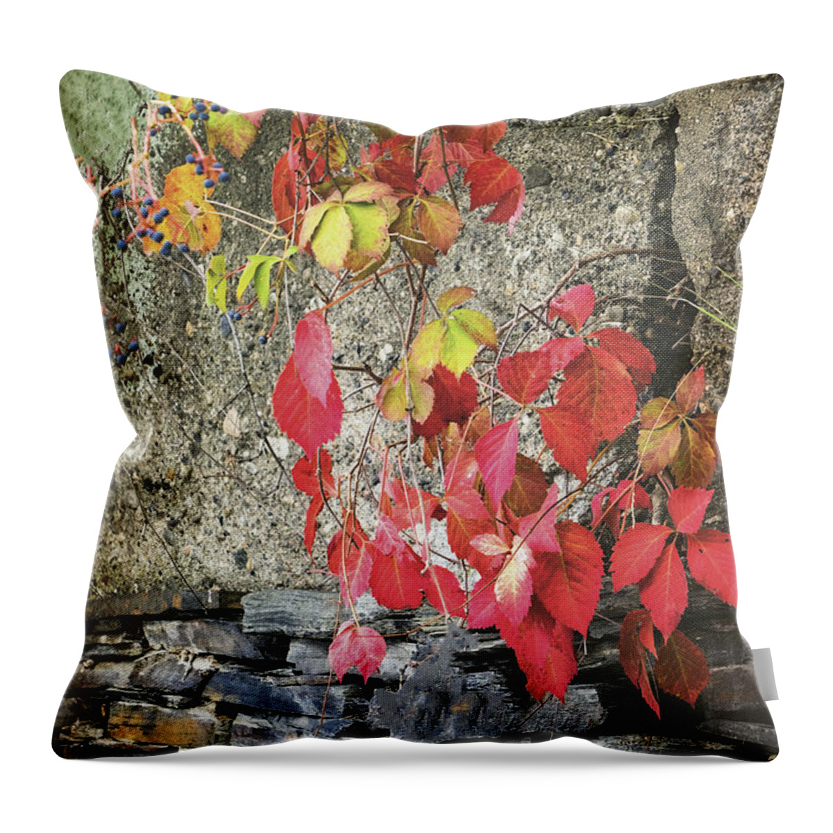 Whetstone Brook Throw Pillow featuring the photograph Autumn Leaves by Tom Singleton