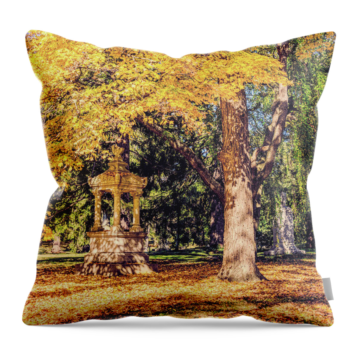 Autumn Throw Pillow featuring the photograph Autumn Lights by Cathy Donohoue