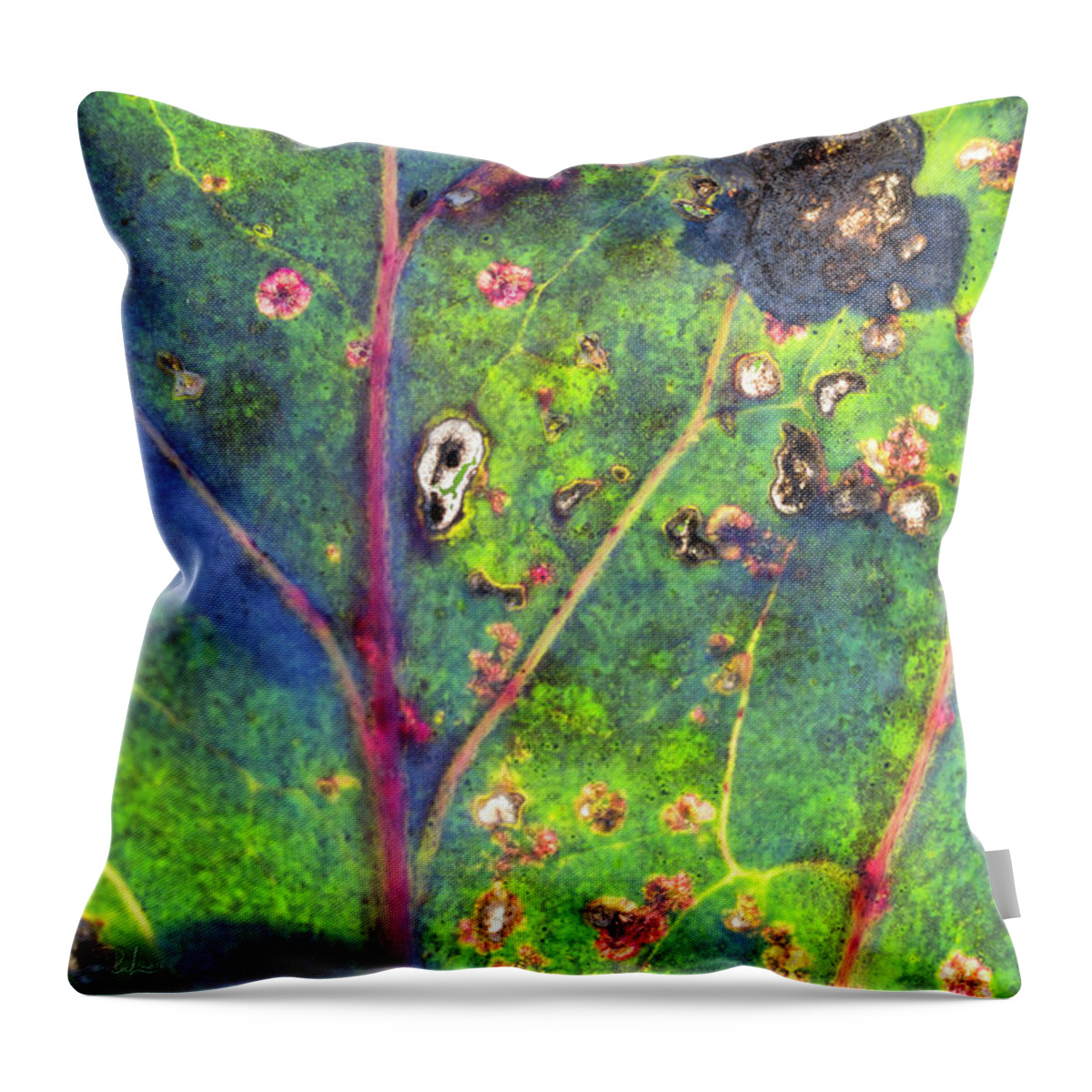 Leaf Throw Pillow featuring the photograph Autumn magic colors by Raffaella Lunelli