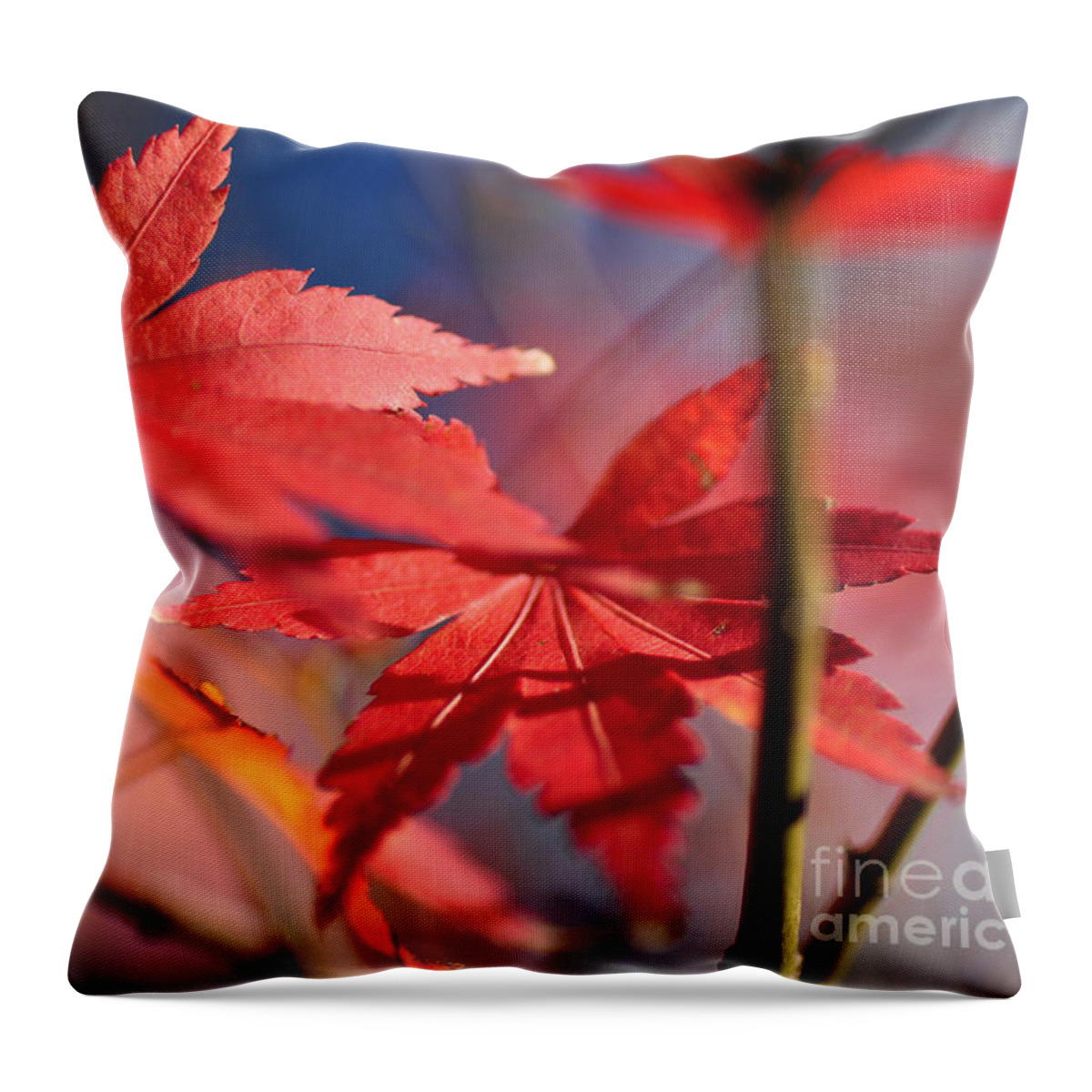 Autumn Maple Throw Pillow featuring the photograph Autumn Maple by Kaye Menner