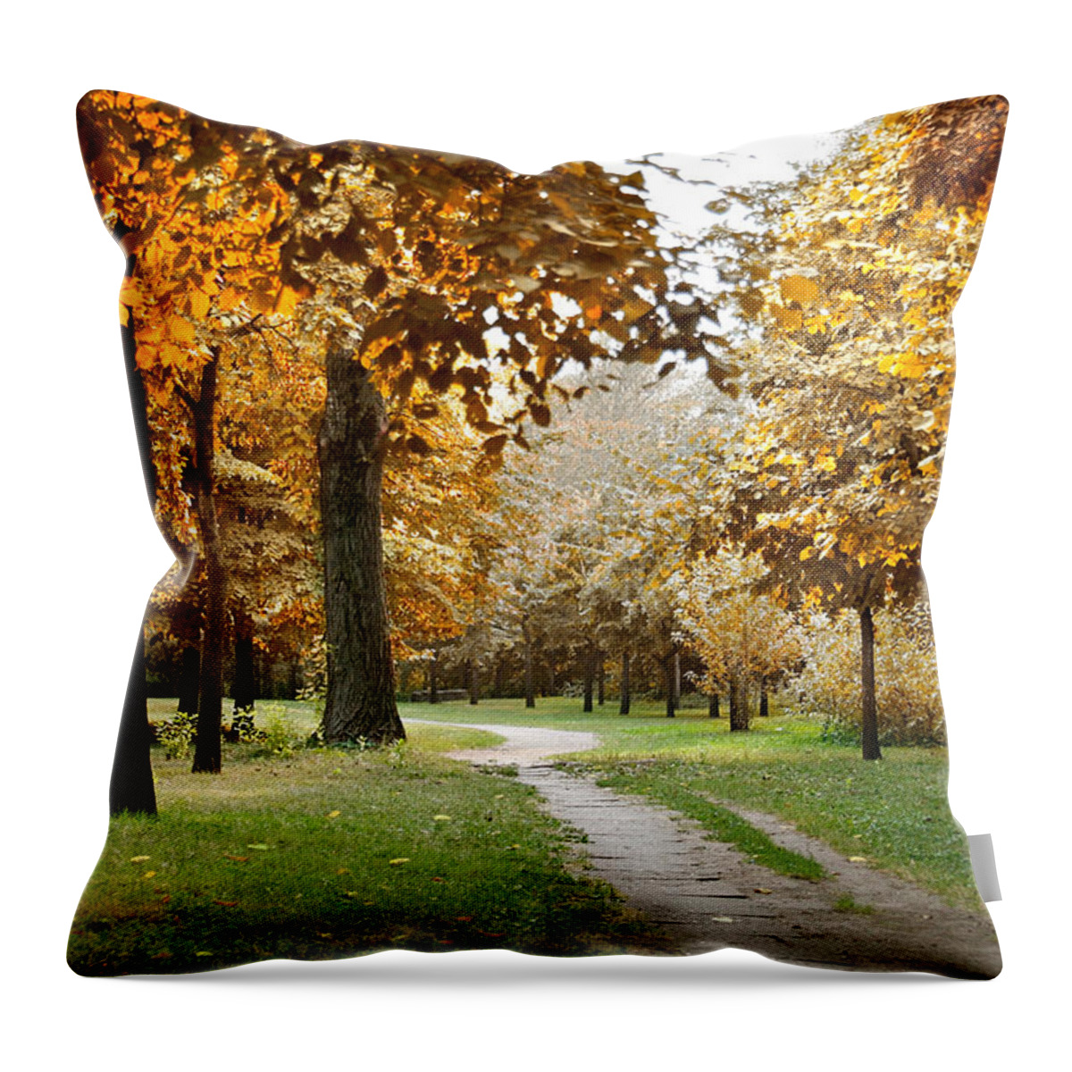 Fall Throw Pillow featuring the photograph Autumn by Masha Batkova