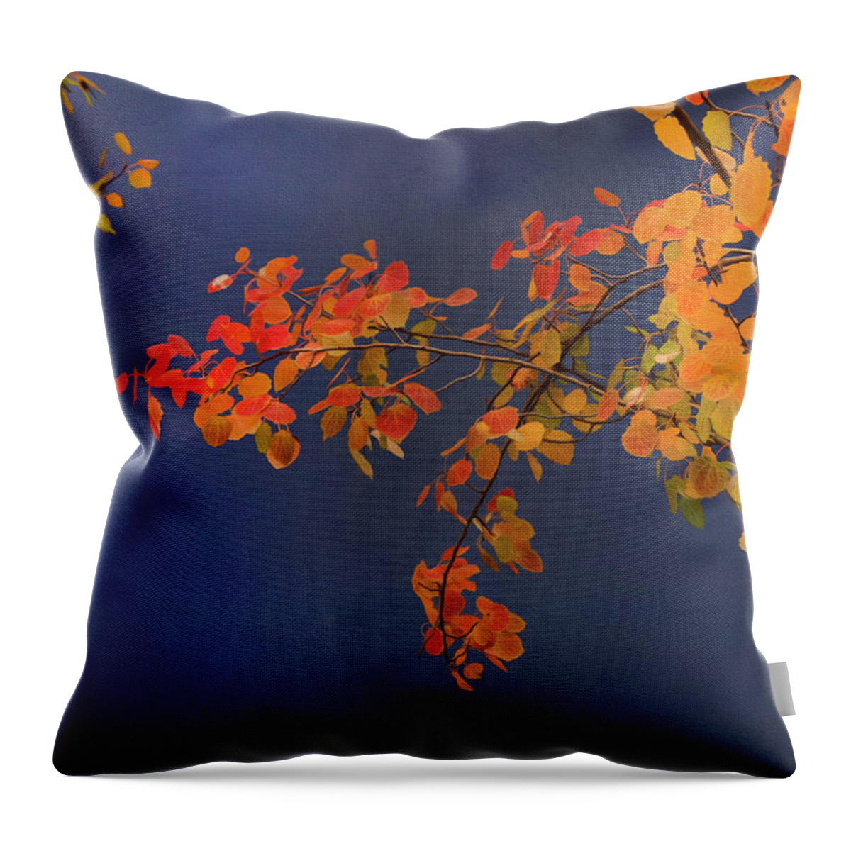Trees Throw Pillow featuring the photograph Autumn Matinee by Theresa Tahara