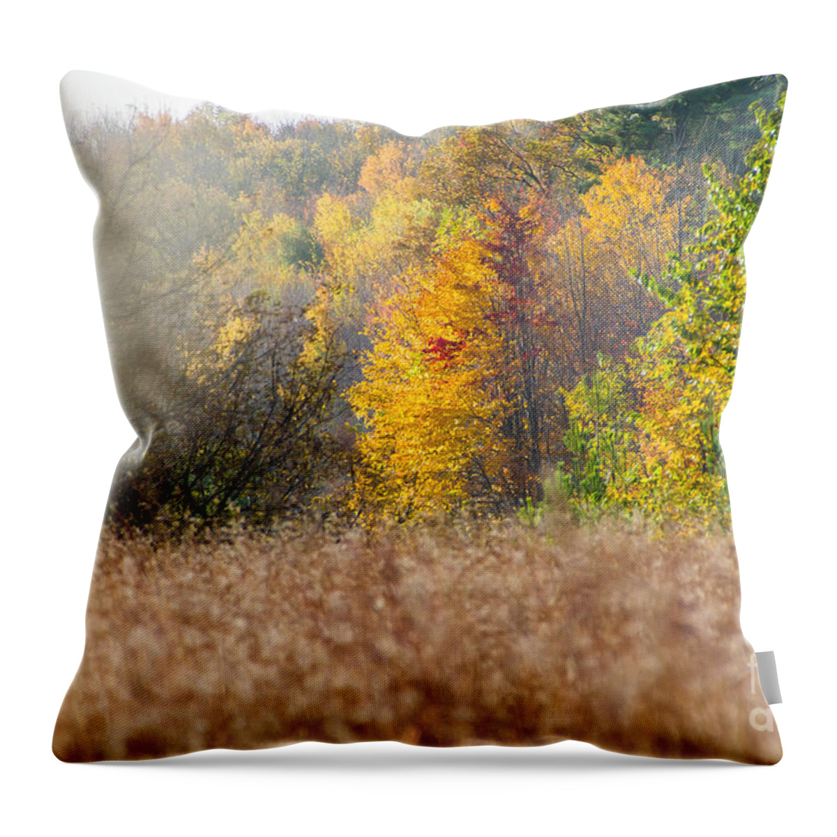 Autumn Throw Pillow featuring the photograph Autumn Mist by CJ Benson