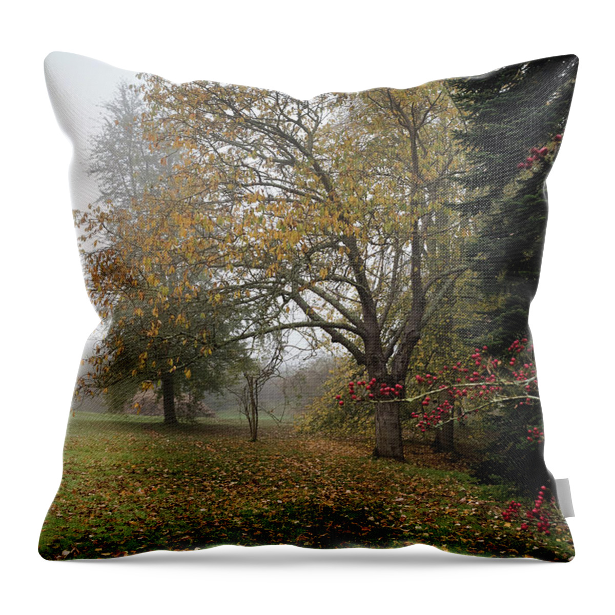 Red Berries Throw Pillow featuring the photograph Autumn Mist, Great Dixter Garden 2 by Perry Rodriguez