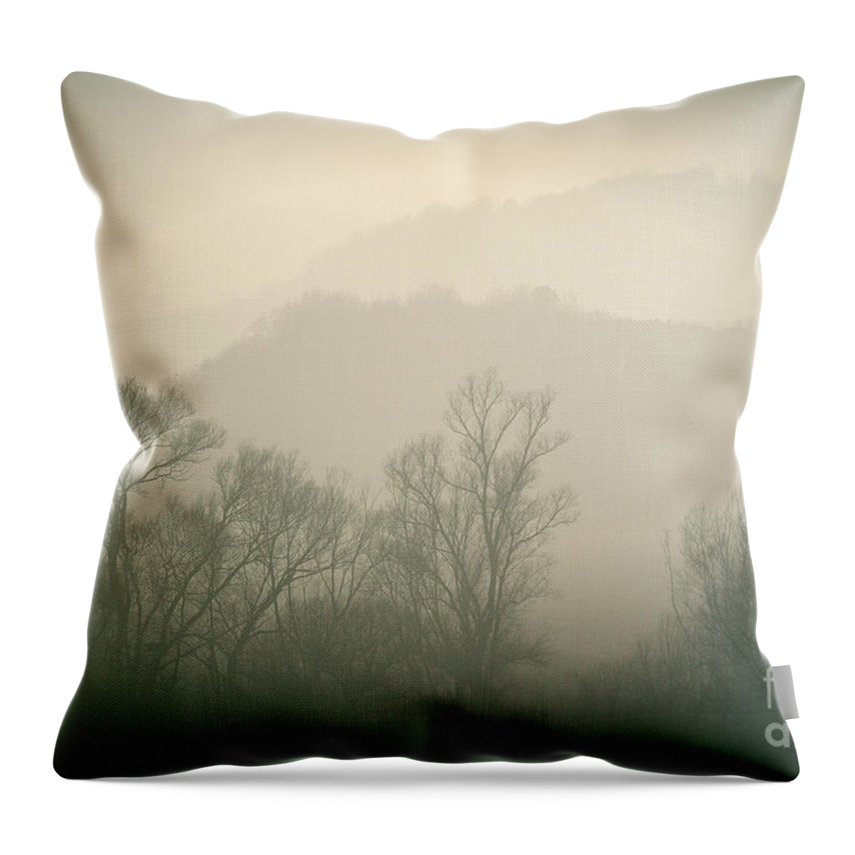 Landscape Throw Pillow featuring the photograph Autumn Morning by Dimitar Hristov