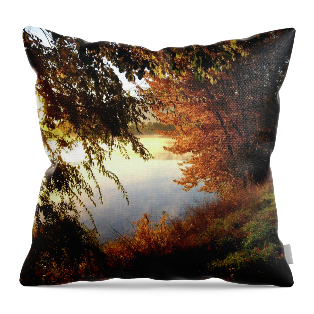 Landscape Throw Pillow featuring the photograph Autumn Morning by Kathy Bassett