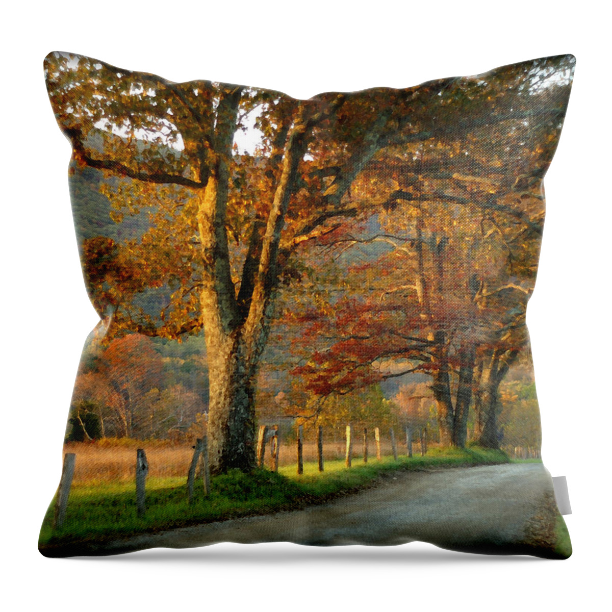 Autumn Throw Pillow featuring the photograph Autumn on Sparks Lane by TnBackroadsPhotos