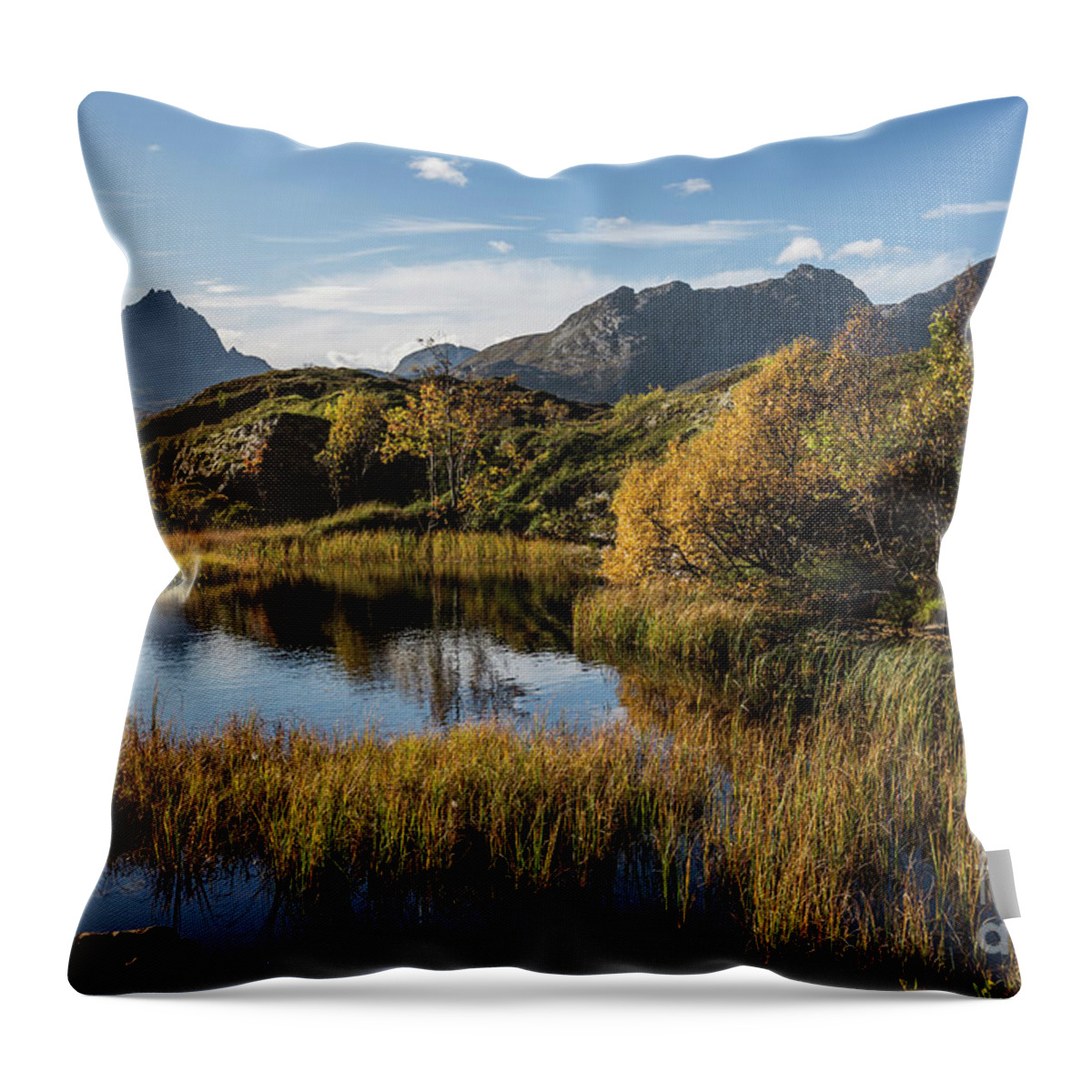 Marsh Throw Pillow featuring the photograph Autumn on the Lofoten Islands by Eva Lechner