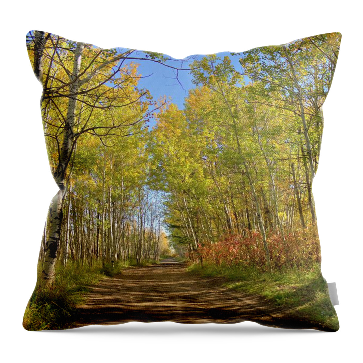 Autumn Throw Pillow featuring the photograph Autumn on the trail by Jim Sauchyn