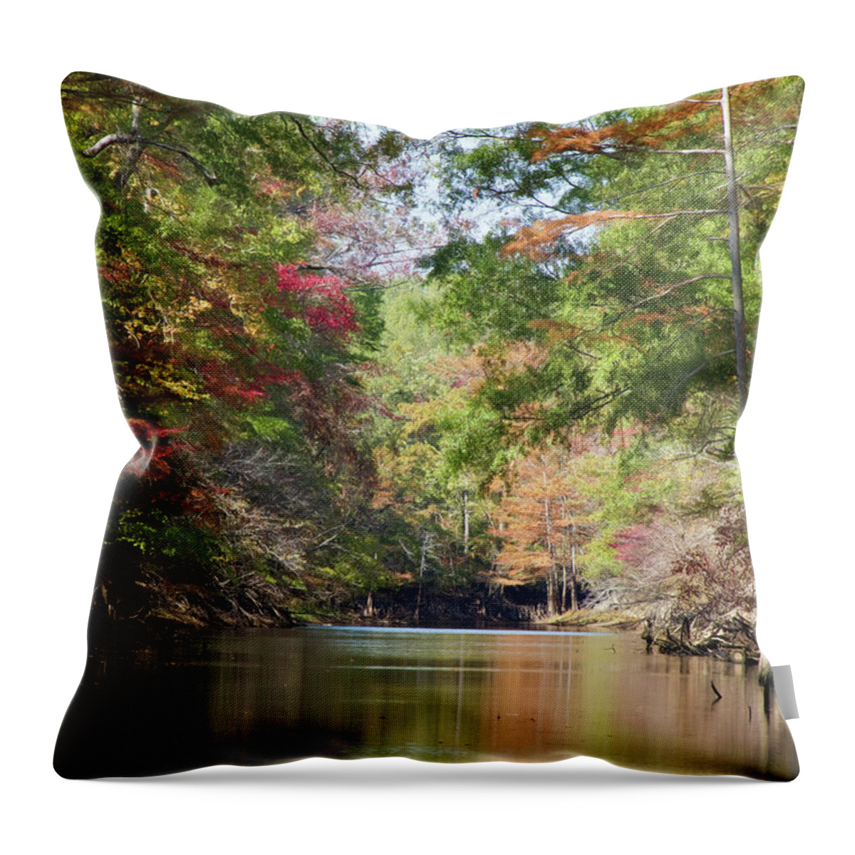 Autumn Throw Pillow featuring the photograph Autumn Over Golden Waters by Lana Trussell