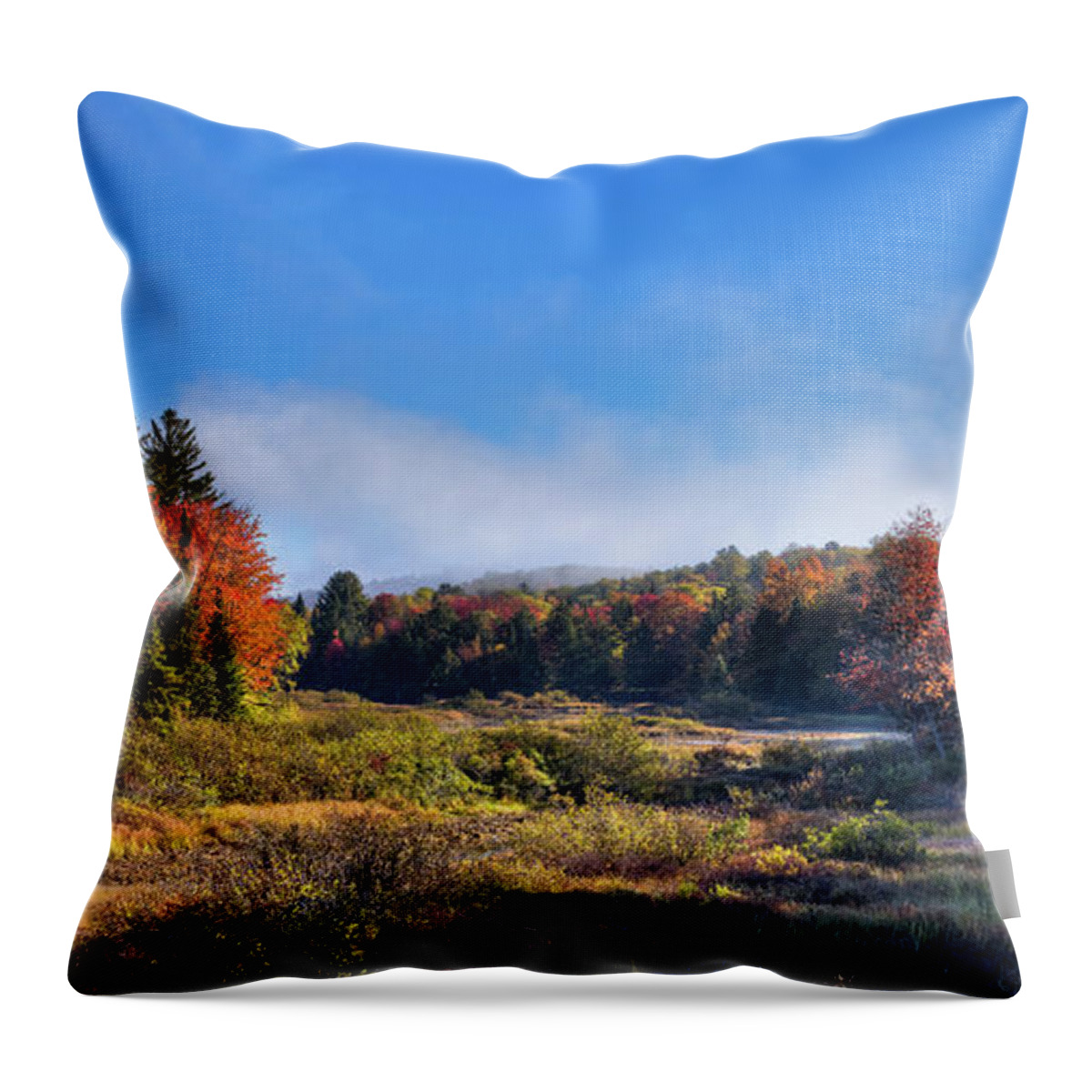 David Patterson Throw Pillow featuring the photograph Autumn Panorama at the Green Bridge by David Patterson