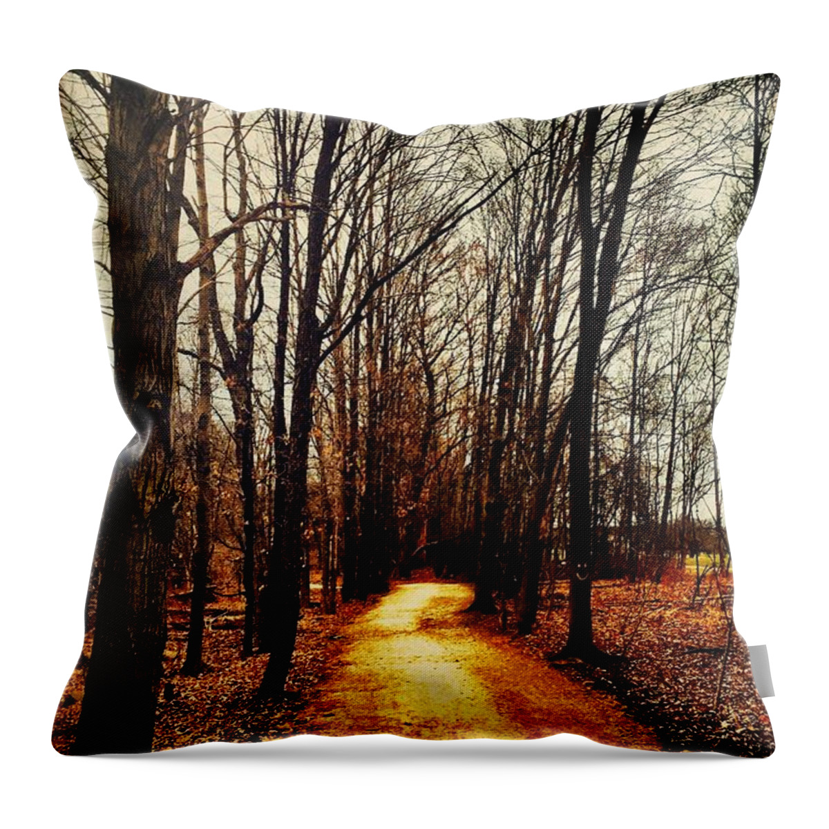 Fall Throw Pillow featuring the photograph Autumn Path by Drue DeMatteis