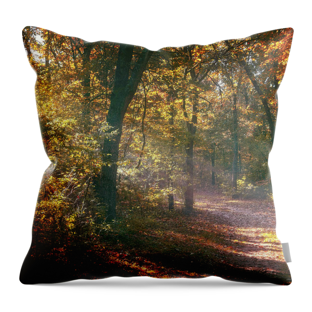 Autumn Throw Pillow featuring the photograph Autumn Path by Scott Norris