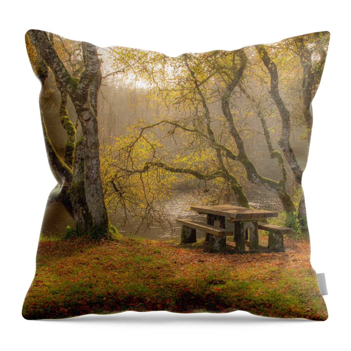 Autumn Throw Pillow featuring the photograph Autumn Picnic 0687 by Kristina Rinell