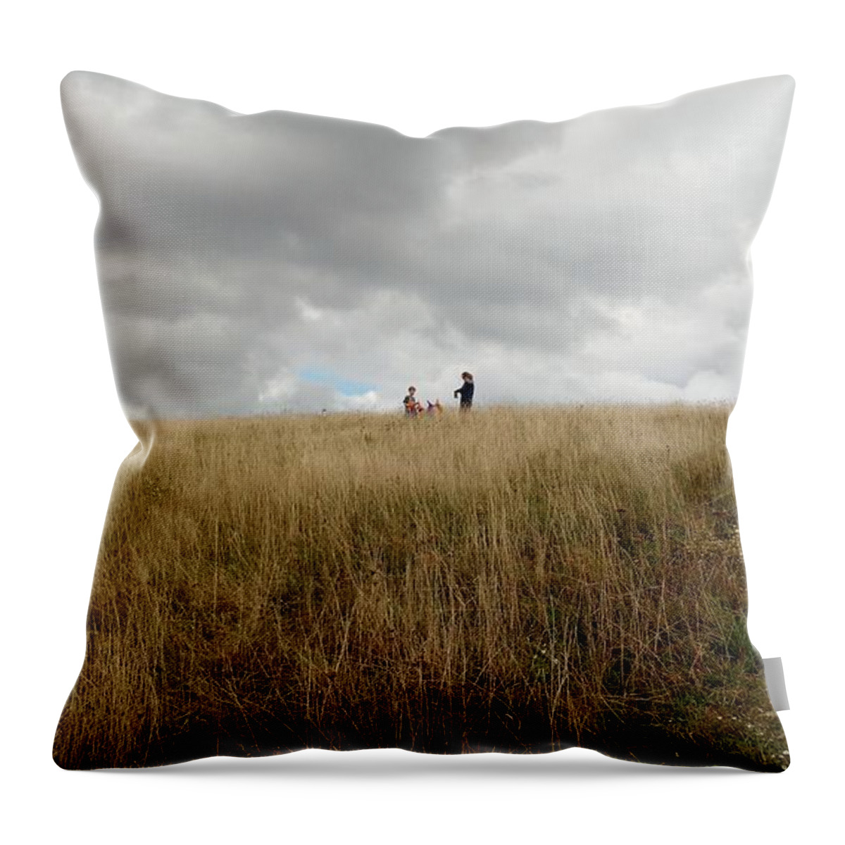 Autumn Throw Pillow featuring the photograph Autumn Play at Max Patch by Anita Adams