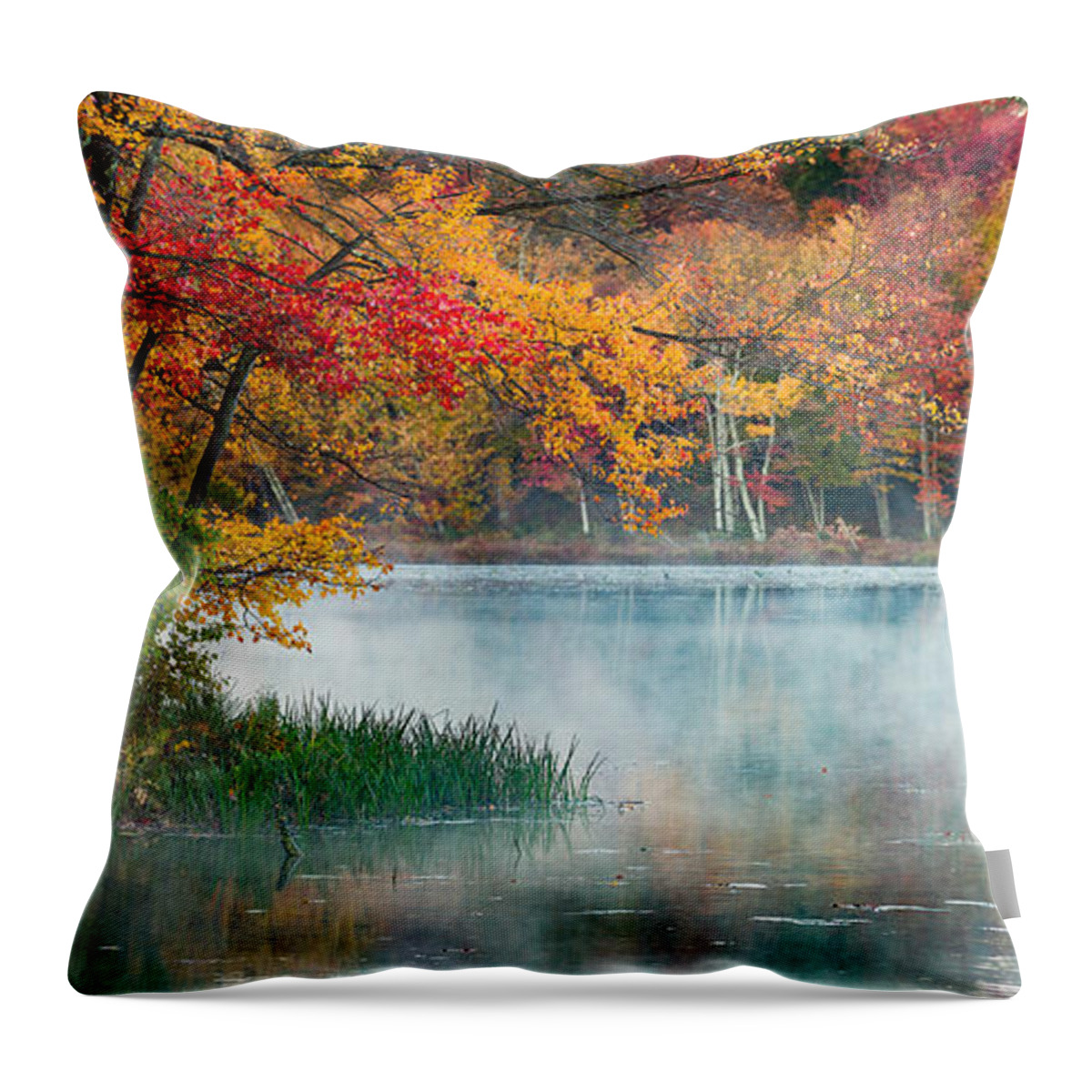 Landscape Throw Pillow featuring the photograph Autumn Pond by Brian Caldwell