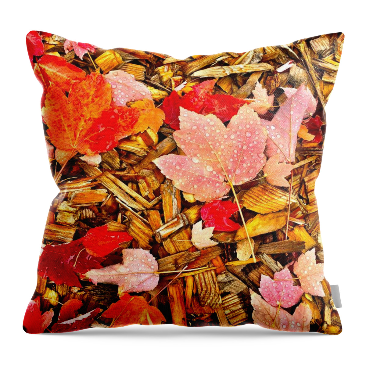 Dew Drops Throw Pillow featuring the photograph Autumn Potpourri by Brad Hodges