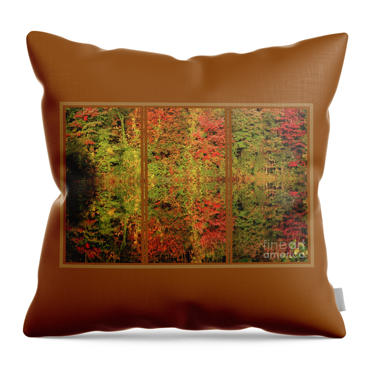 Autumn Throw Pillow featuring the photograph Autumn Reflections In A Window by Smilin Eyes Treasures