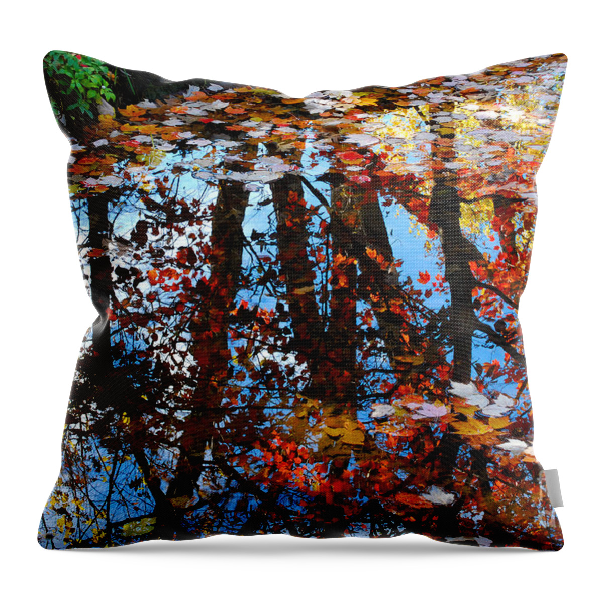 Autumn Throw Pillow featuring the photograph Autumn Reflections by Nancy Mueller