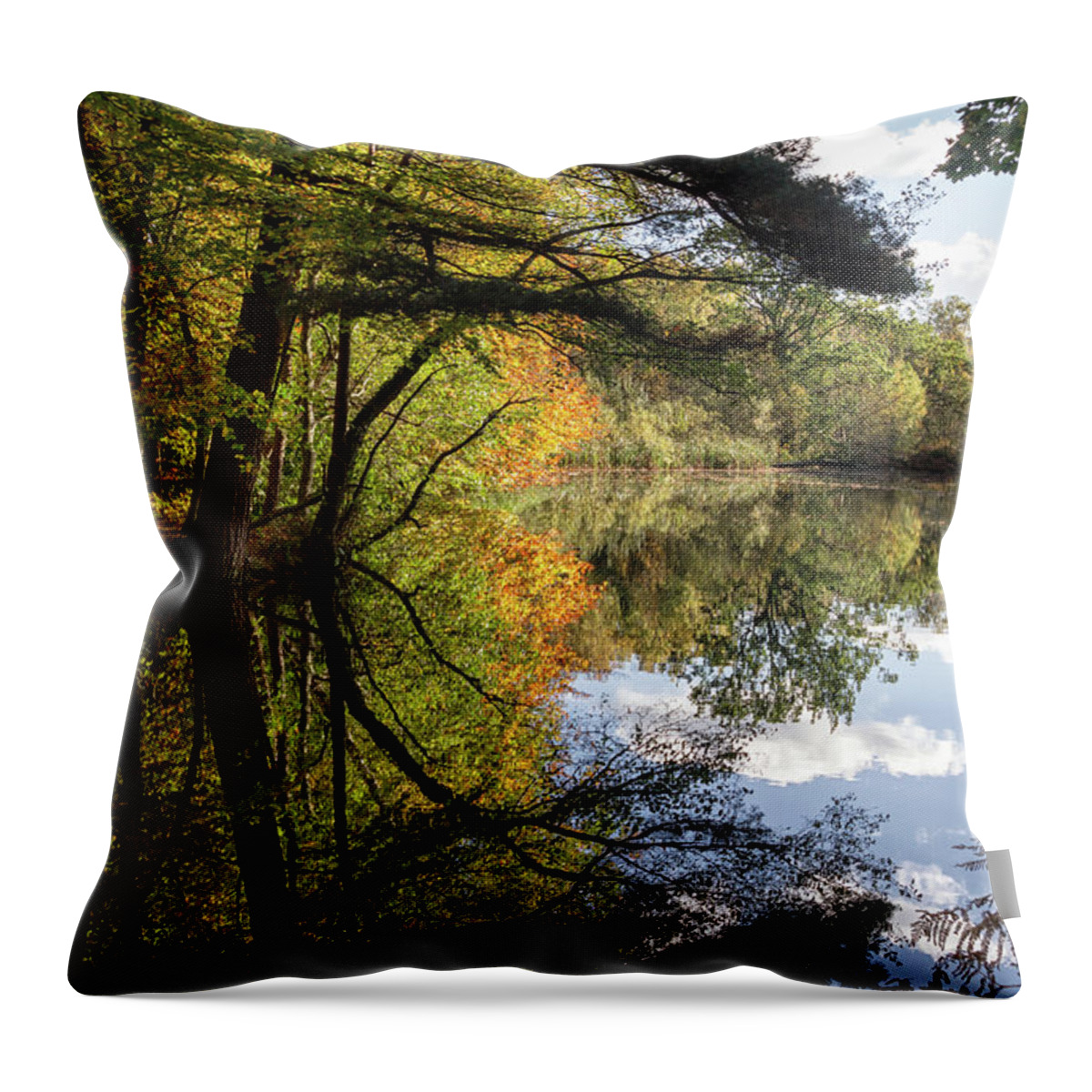 Autumn Throw Pillow featuring the photograph Autumn reflections by Shirley Mitchell